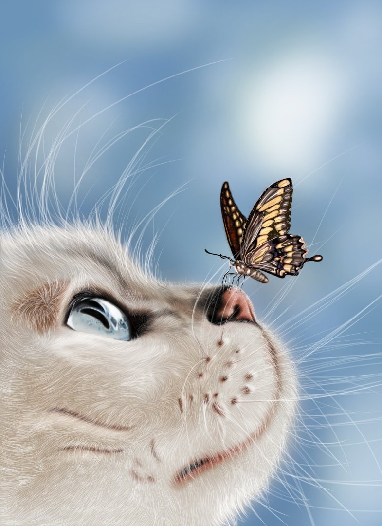 Charming 2D art by Gracie Romanchuk titled 'Cat', featuring the profile of a white cat with a butterfly perched delicately on its nose, capturing a moment of curious wonder.