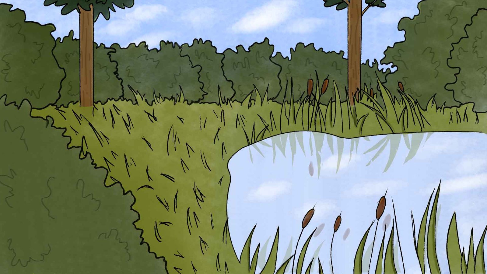 A drawing of a pond with trees and reeds.